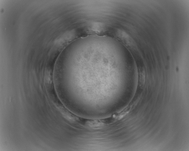 X0000062610331200512211143