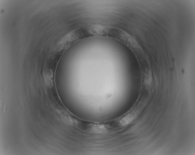 X0000062610332200512211143