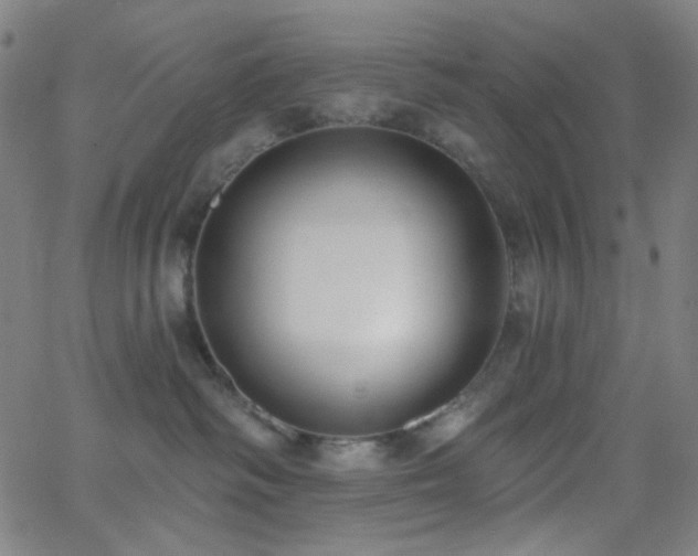 X0000062610334200512211143