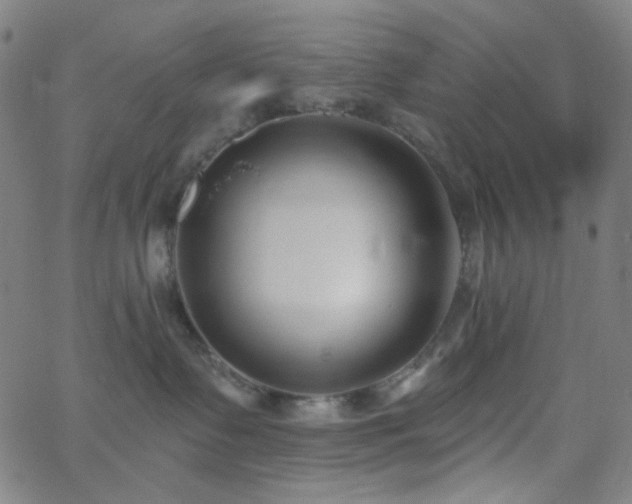 X0000062610335200512211143