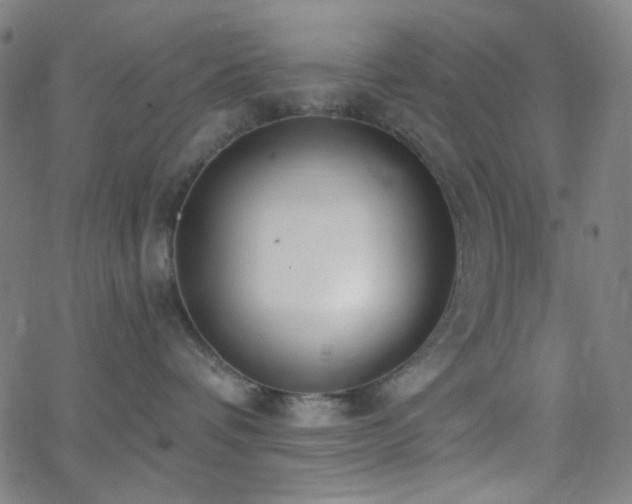 X0000062610336200512211143