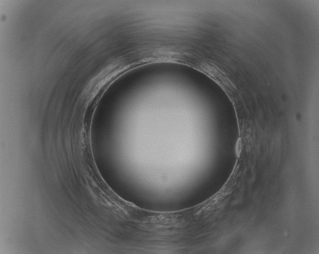 X0000062610338200512211142