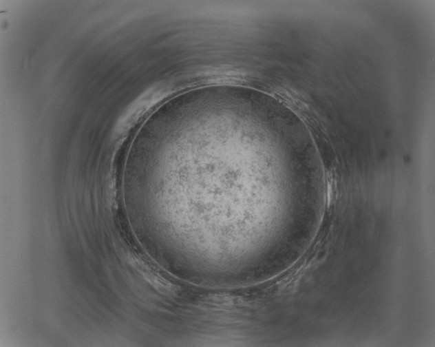 X0000062610339200512211142