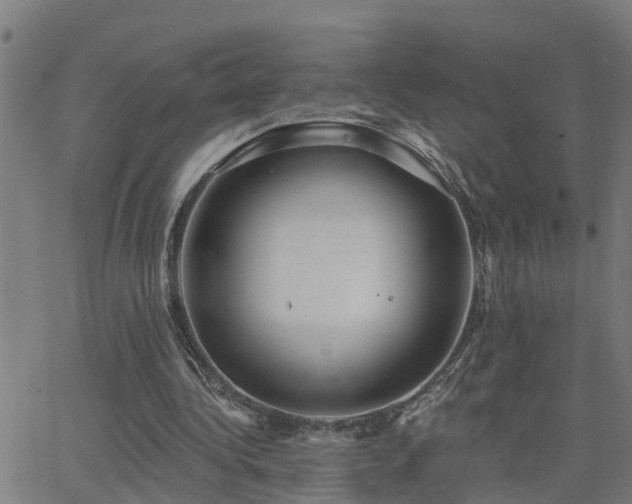 X0000062610340200512211142