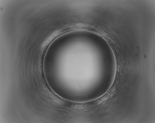 X0000062610341200512211142