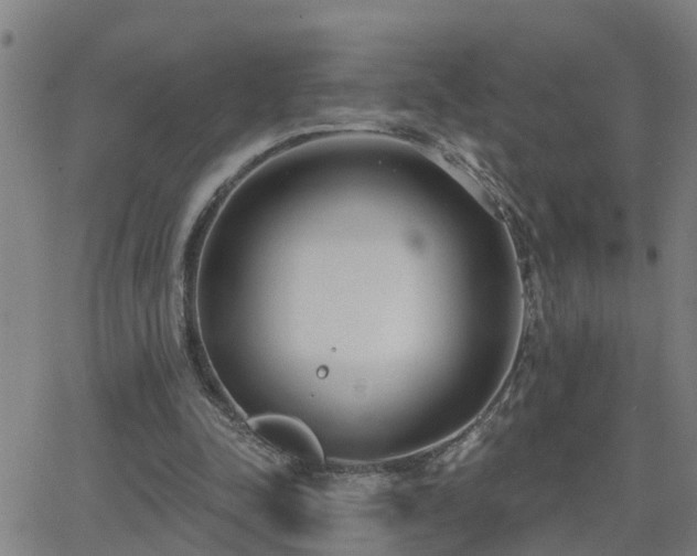 X0000062610342200512211142