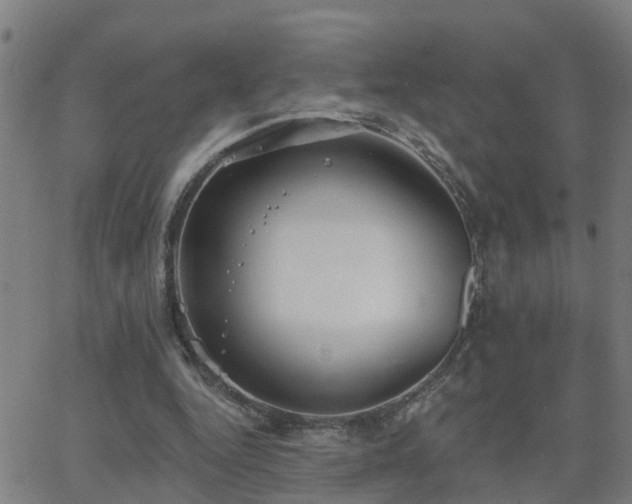 X0000062610344200512211142