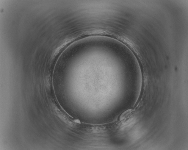 X0000062610345200512211142