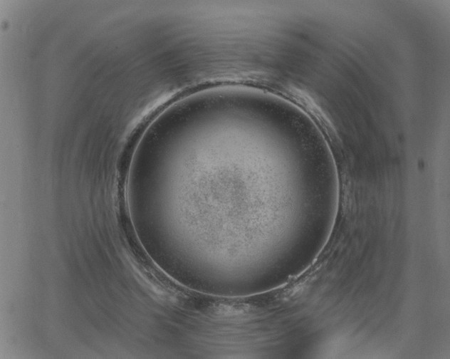 X0000062610346200512211142