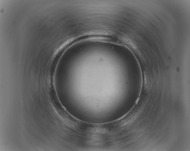 X0000062610348200512211142