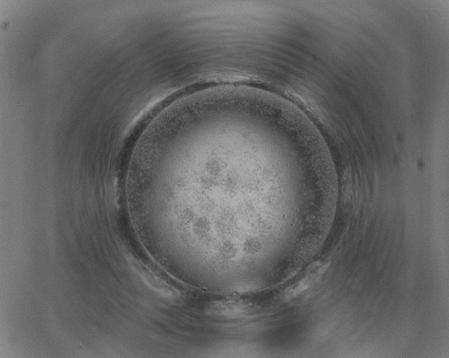 X0000062610351200512211143