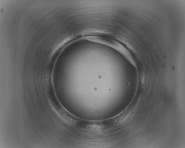 X0000062610352200512211143