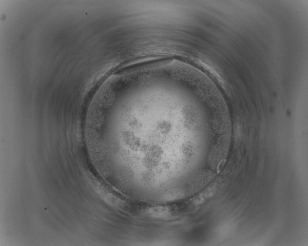 X0000062610353200512211143