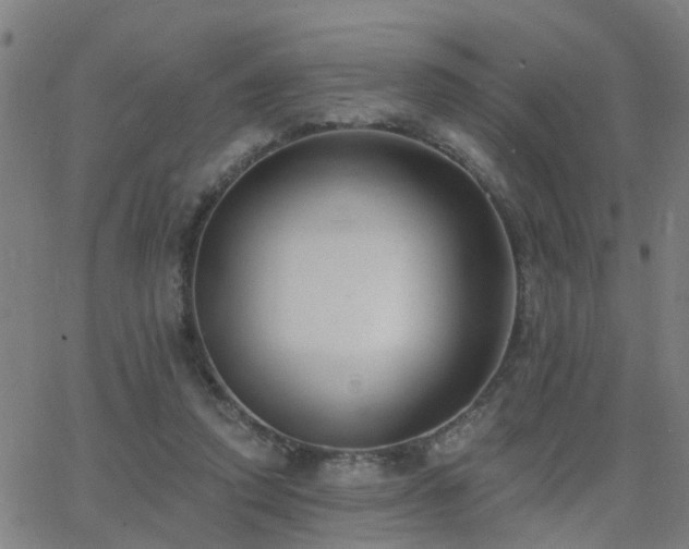 X0000062610354200512211143