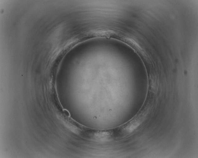 X0000062610357200512211143