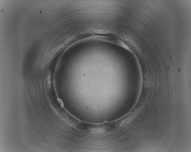 X0000062610358200512211143