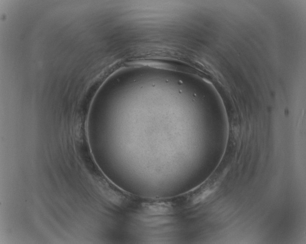 X0000062610359200512211143