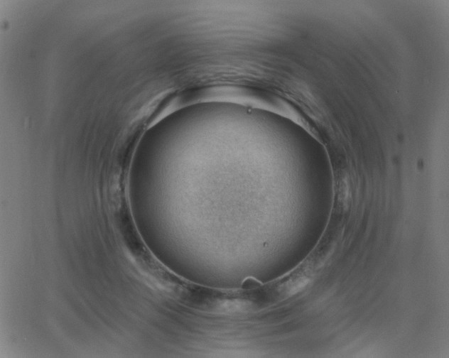 X0000062610360200512211143