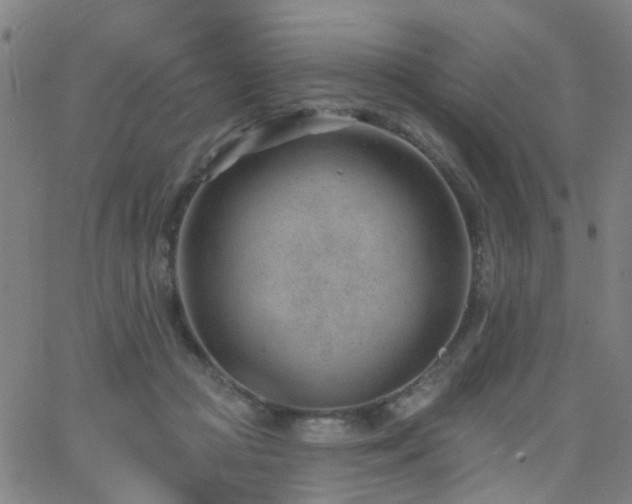 X0000062610361200512211143