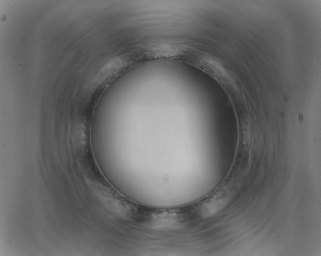 X0000062610362200512211143