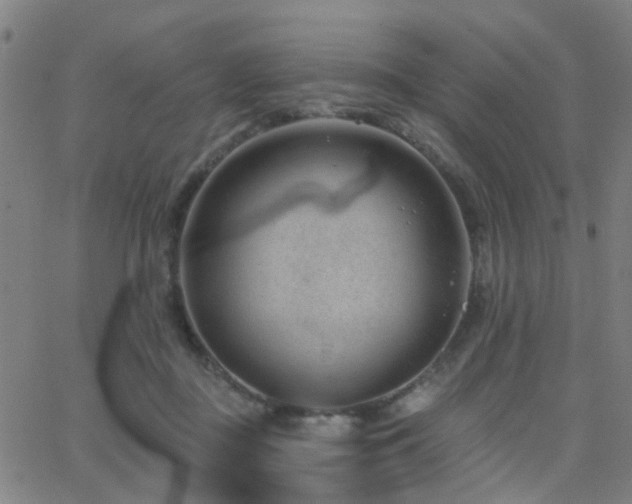 X0000062610363200512211143