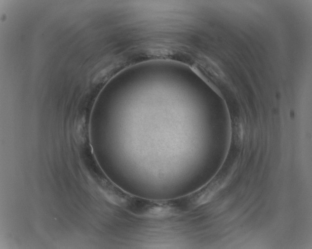 X0000062610364200512211143