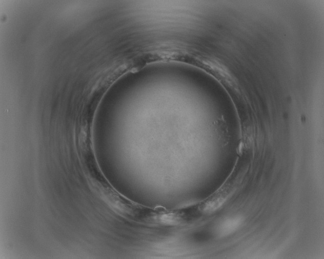 X0000062610365200512211143