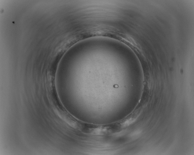 X0000062610366200512211143