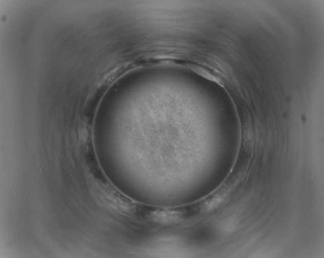 X0000062610367200512211143