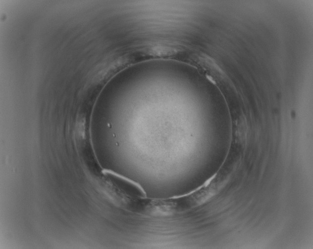 X0000062610368200512211143