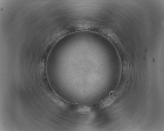 X0000062610369200512211143