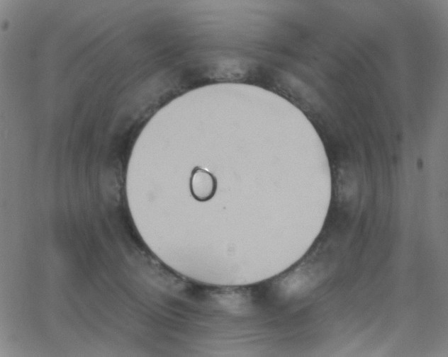 X0000062610370200512211143