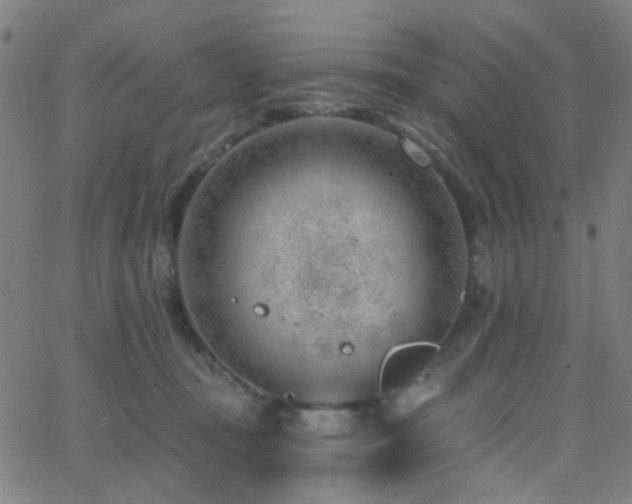 X0000062610371200512211143