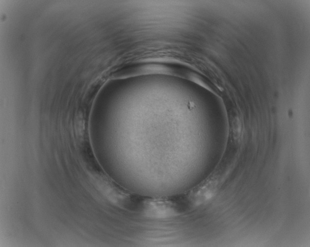 X0000062610372200512211143