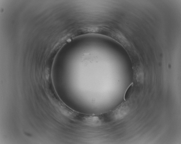 X0000062610374200512211143