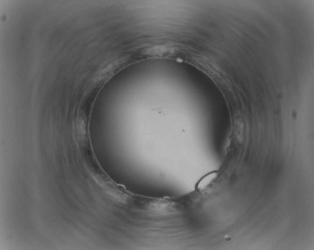 X0000062610375200512211143