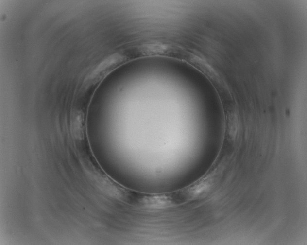 X0000062610378200512211143