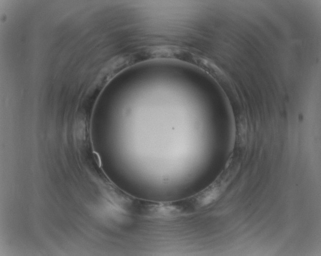 X0000062610379200512211143