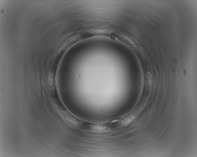 X0000062610380200512211143