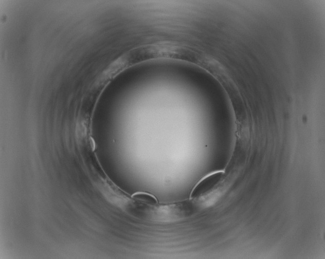 X0000062610382200512211143