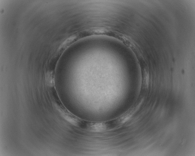 X0000062610383200512211143