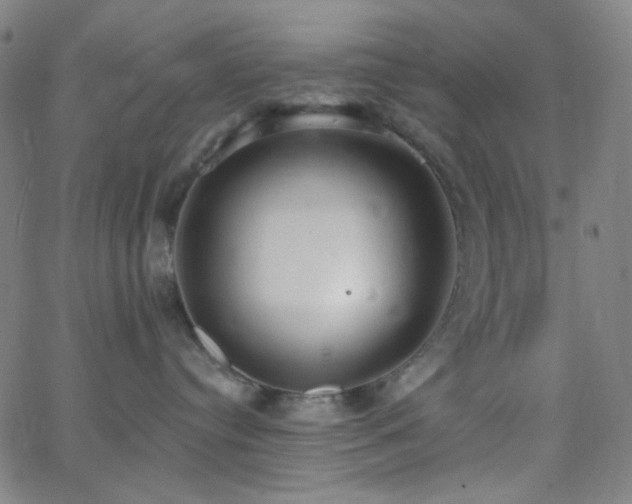 X0000062610384200512211143