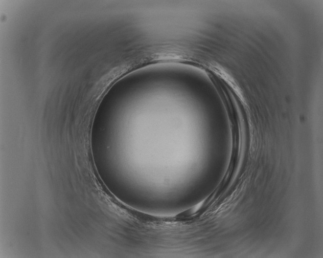 X0000062610385200512211142