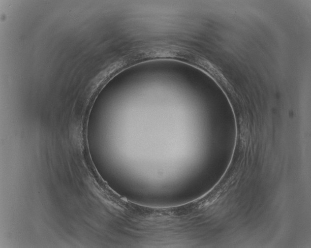 X0000062610386200512211142