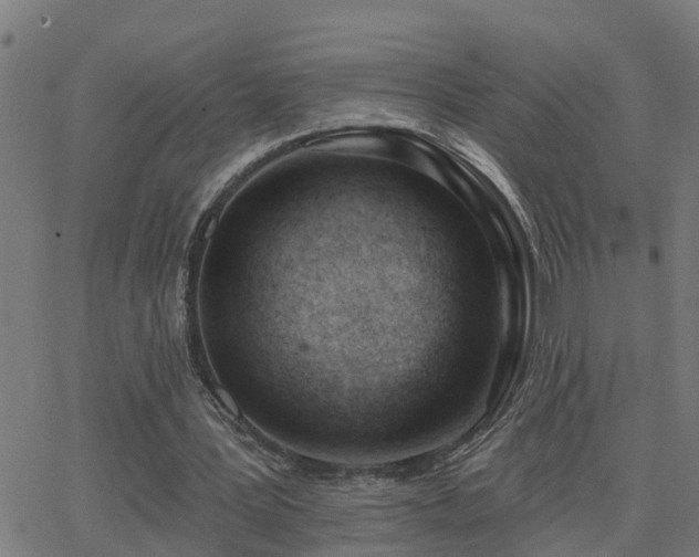 X0000062610387200512211142