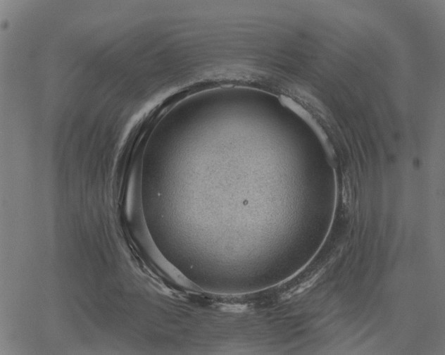 X0000062610388200512211142