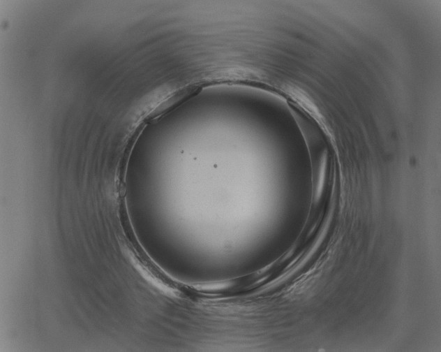 X0000062610389200512211142