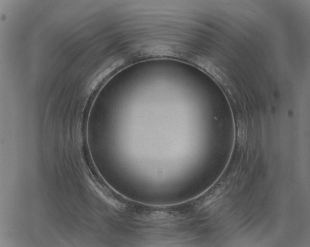 X0000062610390200512211142