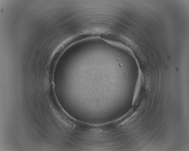 X0000062610392200512211142