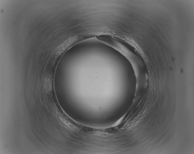 X0000062610393200512211142